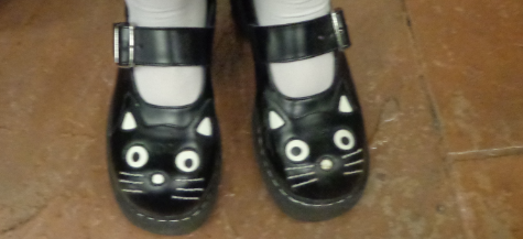 catshoes